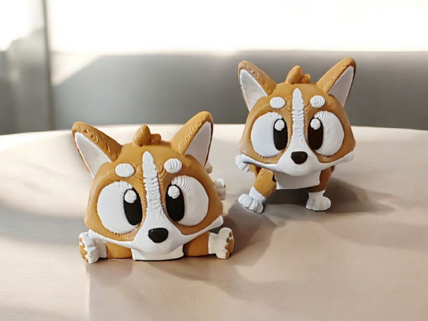 Caramel and white corgi dog with short articulated legs