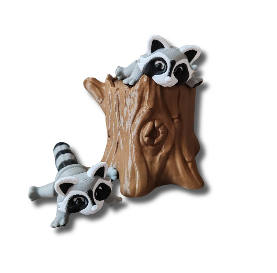 Trash animal raccoon with detailed face markings