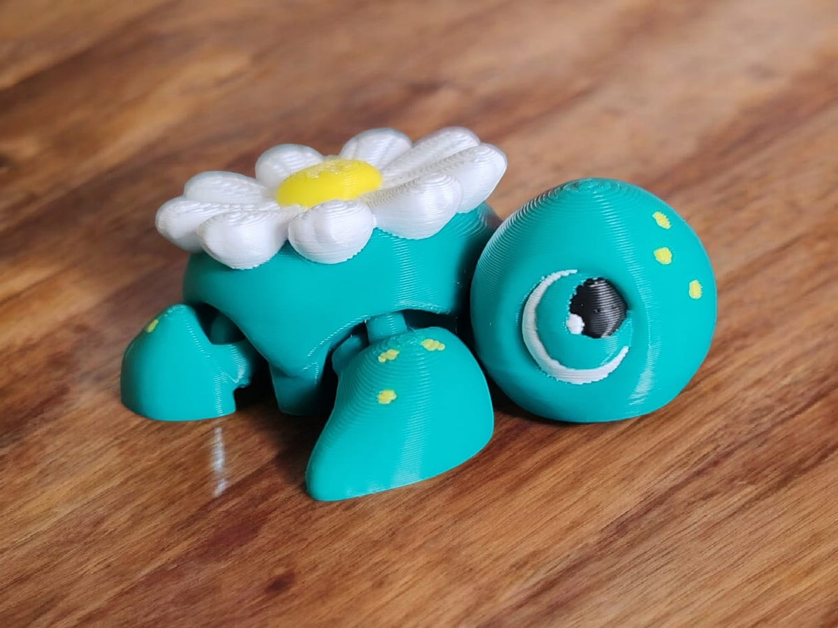 Close-up of daisy turtle showing flower petal shell design